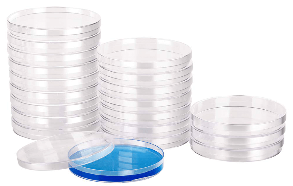 boite de petri tunisie boites de petrie tunis