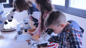 vente microscope tunisie